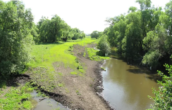 Water, Grass, Trees, River, Summer
