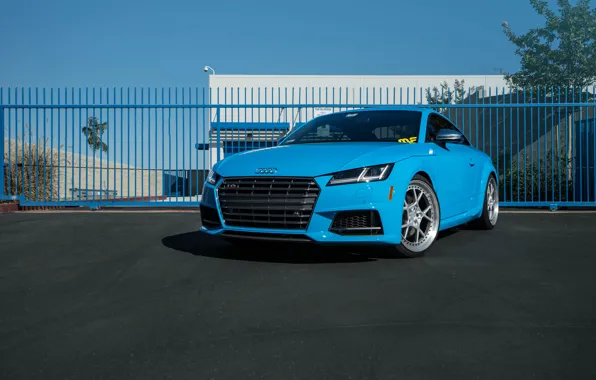 Audi, Blue, Riviera, TTS, Rotiform, The dealership, Boden, Magnaflow