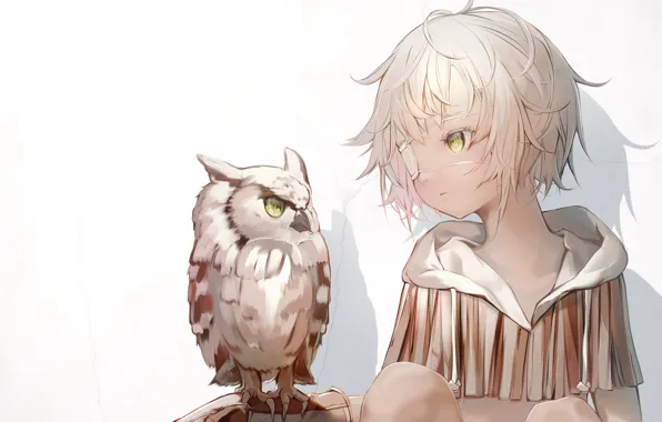 Picture wall, owl, girl