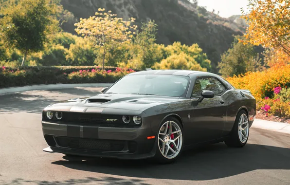 Picture Dodge, Challenger, Hellcat, Silver, Machined