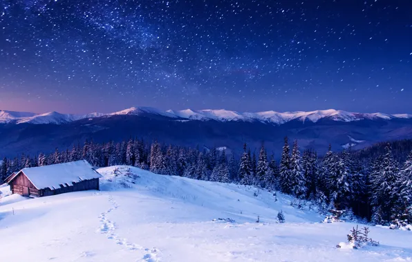 Forest, trees, mountains, night, house, stars