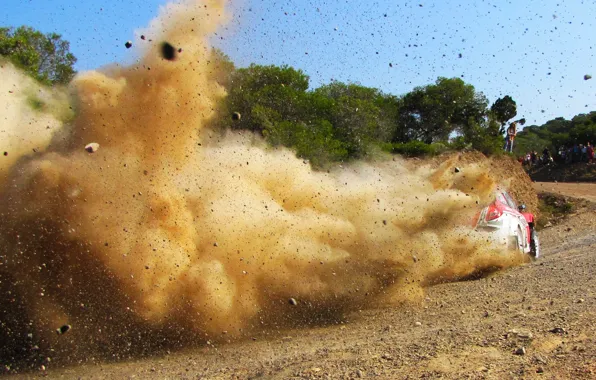 Picture Ford, Dust, Sport, Machine, Speed, Stones, Ford, WRC
