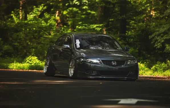 Picture the city, Honda, the front, accord, stance, Acura TSX