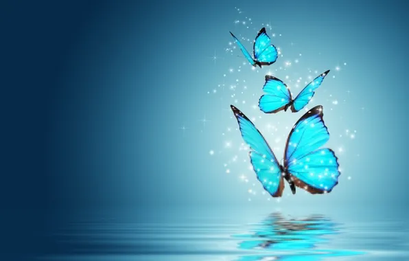 Picture butterfly, background, blue, magic, Wallpaper, butterfly, mood, wallpaper