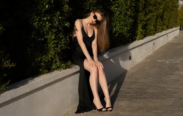 The sun, pose, model, portrait, makeup, figure, dress, glasses