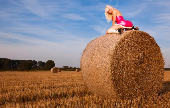 Field, the sky, ass, blonde, hay, ass, Susan Wayland, sky