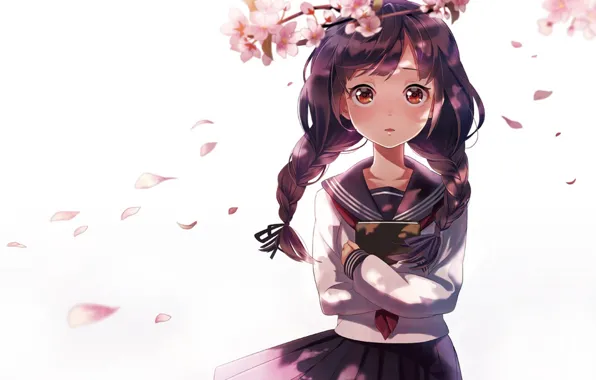 Girl, flowers, branch, anime, petals, Sakura, art, book