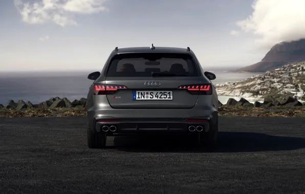 Audi, rear view, universal, 2019, A4 Avant, S4 Before