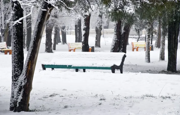Winter, snow, trees, Park, colorful, benches, Snow park