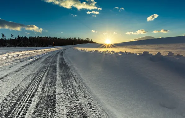 Winter, road, morning