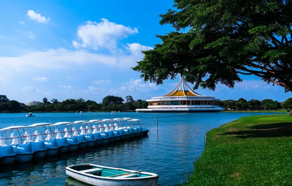 Picture greens, the sky, grass, clouds, trees, branches, pond, Park