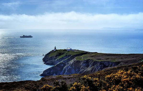 Sea, rocks, shore, lighthouse, house, liner
