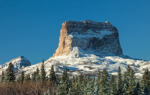 The sky, snow, trees, mountains, rocks