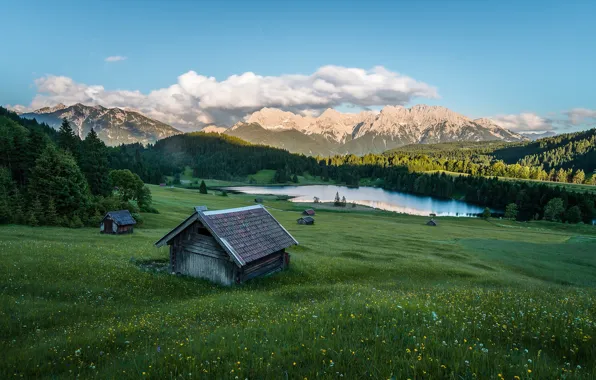Field, forest, summer, the sky, grass, clouds, flowers, mountains