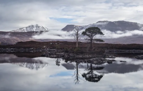 The sky, clouds, trees, mountains, fog, lake, reflection, overcast