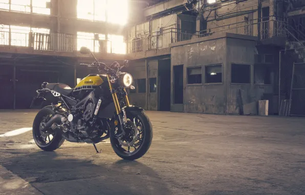 Yamaha, moto, style, yellow, sport classic, 2016, XSR900