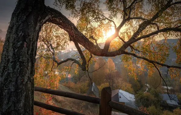 Picture autumn, landscape, branches, nature, the city, tree, home, the fence