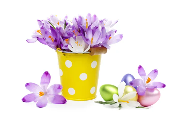 Picture eggs, bouquet, crocuses, bucket, flowers, spring, eggs, easter