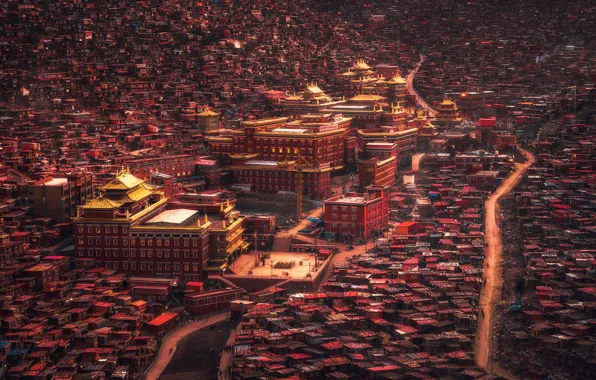 The city, China, Tibet, anthill