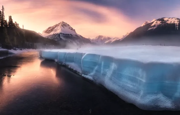 Picture forest, light, mountains, river, ice