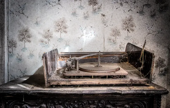 Web, dust, record player