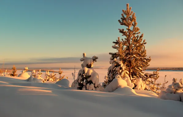 Winter, the sun, snow, trees, landscape, sunset, ate, the snow