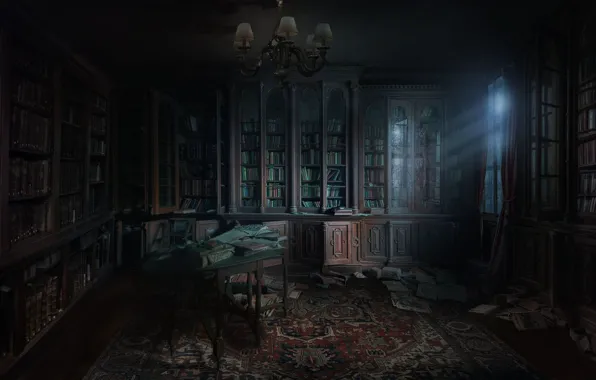 Room, library, Andrii Shafetov, library concept