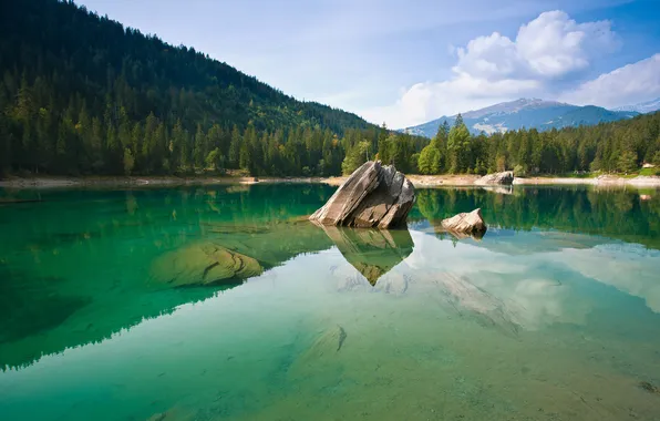 Forest, water, mountains, rock, reflection, shore, stone, transparent