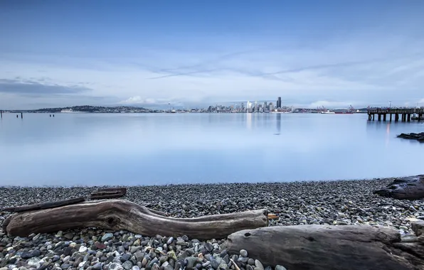 The city, coast, panorama, Seattle