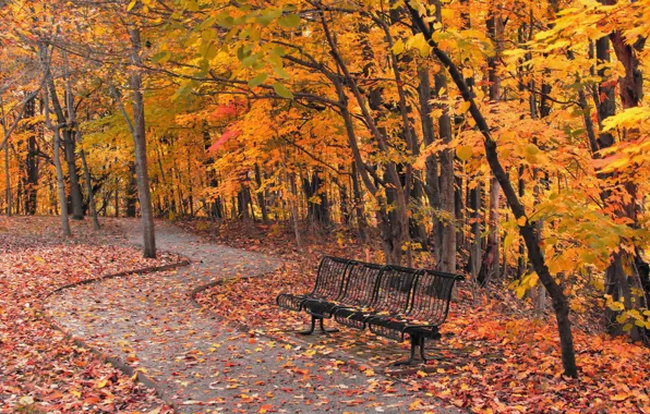 Picture autumn, the city, Park, bench