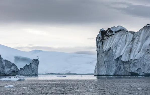 Cold, ice, winter, sea, the sky, water, clouds, snow