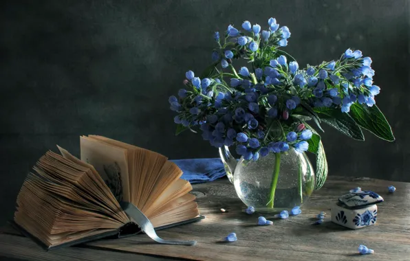 Flowers, blue, box, book, vase, still life, spring