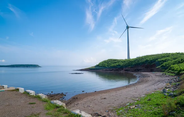 Sea, the sky, grass, clouds, landscape, shore, horizon, grass