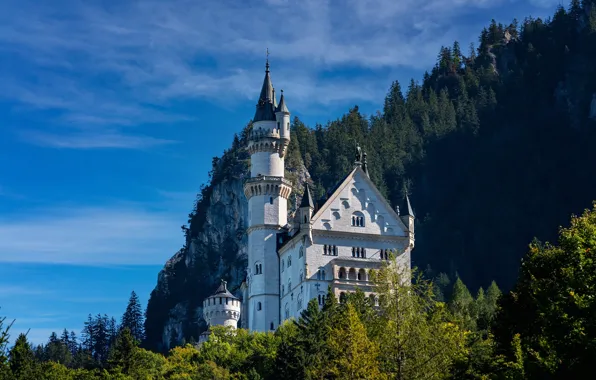 Forest, rock, castle, Germany, Bayern, Germany, Bavaria, Neuschwanstein Castle