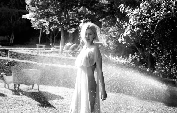 Photoshoot, Nicola Peltz, Violet Grey