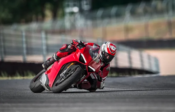 Look, Speed, Turn, Track, Ducati, 2018, Panigale, Sportbike
