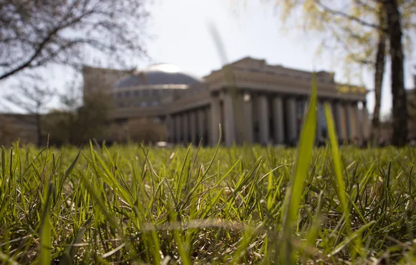 Greens, Grass, The building, NSK, Novosibirsk, Archanicum, Canon 200D, ​Opera and Ballet Theatre