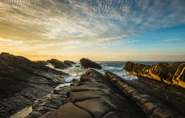 Picture sea, wave, the sky, clouds, stones, shore, coast, horizon