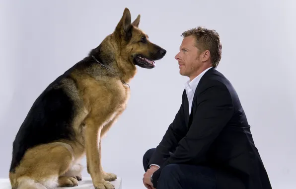 Inspecto R Dog Wallpaper dog, friendship, male, Inspector Rex for mobile and desktop ...