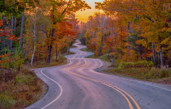 Road, autumn, beauty