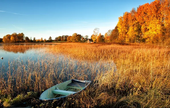 Autumn, trees, lake, boat, houses.
