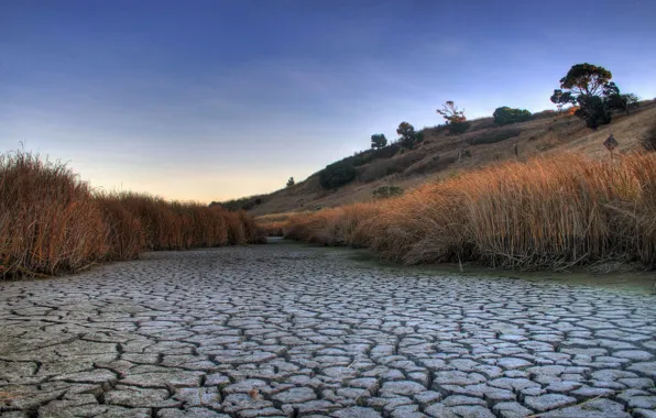 Grass, earth, drought, Landscape