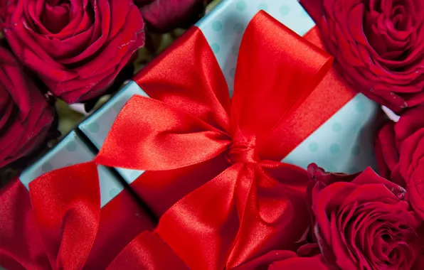 Red, love, romantic, gift, roses, red roses, valentine`s day