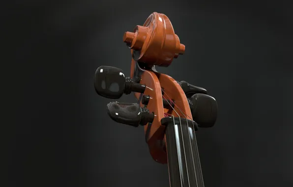 Macro, strings, cello, tool
