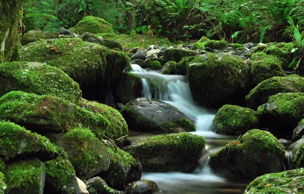 Greens, stream, stones, waterfall