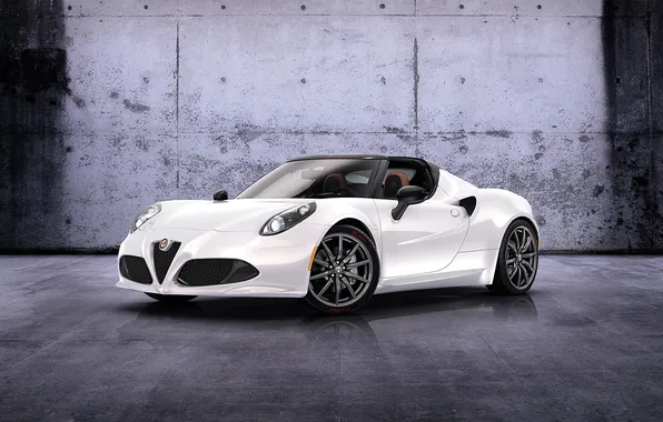 Alfa Romeo, 2014, Spider Concept