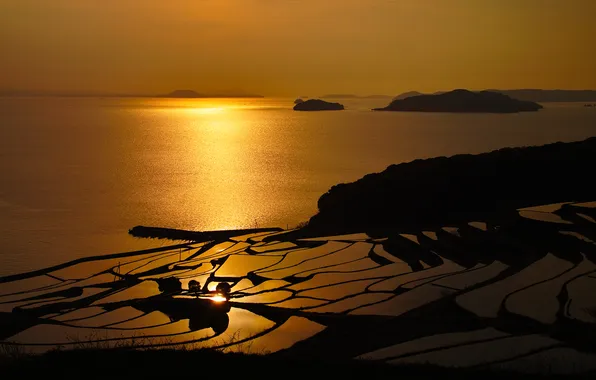 Sea, the evening, gold, the island