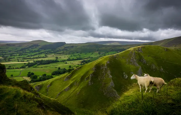 Greens, summer, the sky, grass, clouds, trees, mountains, clouds