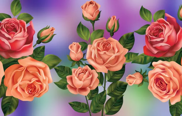 Graphics, Flowers, Roses