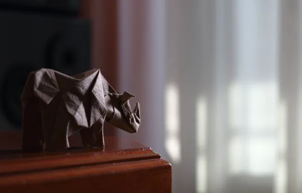 Paper, Rhino, origami